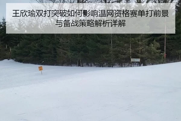wang-xin-yu-shuang-da-tu-po-ru-he-ying-xiang-wen-wang-zi-ge-sai-dan-da-qian-jing-yu-bei-zhan-ce-lve-jie-xi-xiang-jie-1-714.jpg